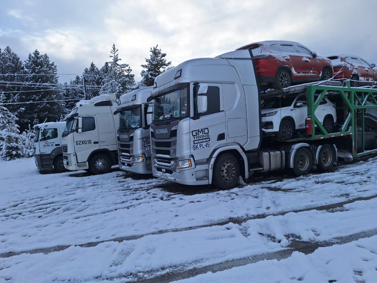 Flota de camiones especializados para diferentes tipos de carga